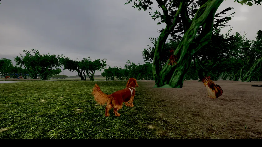 Hushpuppy in Lions Park